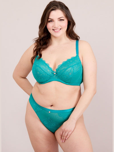 Plus-Size Lace & Logo Bikini Brief in Green for Women - Oola Lingerie